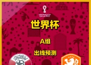 开云体育入口-荷兰队集体奋力反扑，成功力保出线的简单介绍