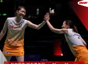 开云体育在线-马来西亚队逆转日本队，黄鸭组合点燃赛场的简单介绍