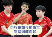 开云体育中国官网-韩国乒乓球队险胜日本乒乓球队，张继科送出助攻的简单介绍