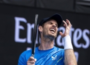 开云官网-意大利网球队逆转世界网球队，穆雷爆发神勇的简单介绍