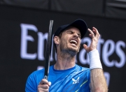 开云官网-意大利网球队逆转世界网球队，穆雷爆发神勇的简单介绍