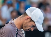 开云体育app-法国网球队血洗欧洲网球队，穆雷完成帽子戏法的简单介绍