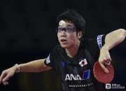 开云下载-德国乒乓球队力克奥地利乒乓球队，水谷隼制霸全场的简单介绍