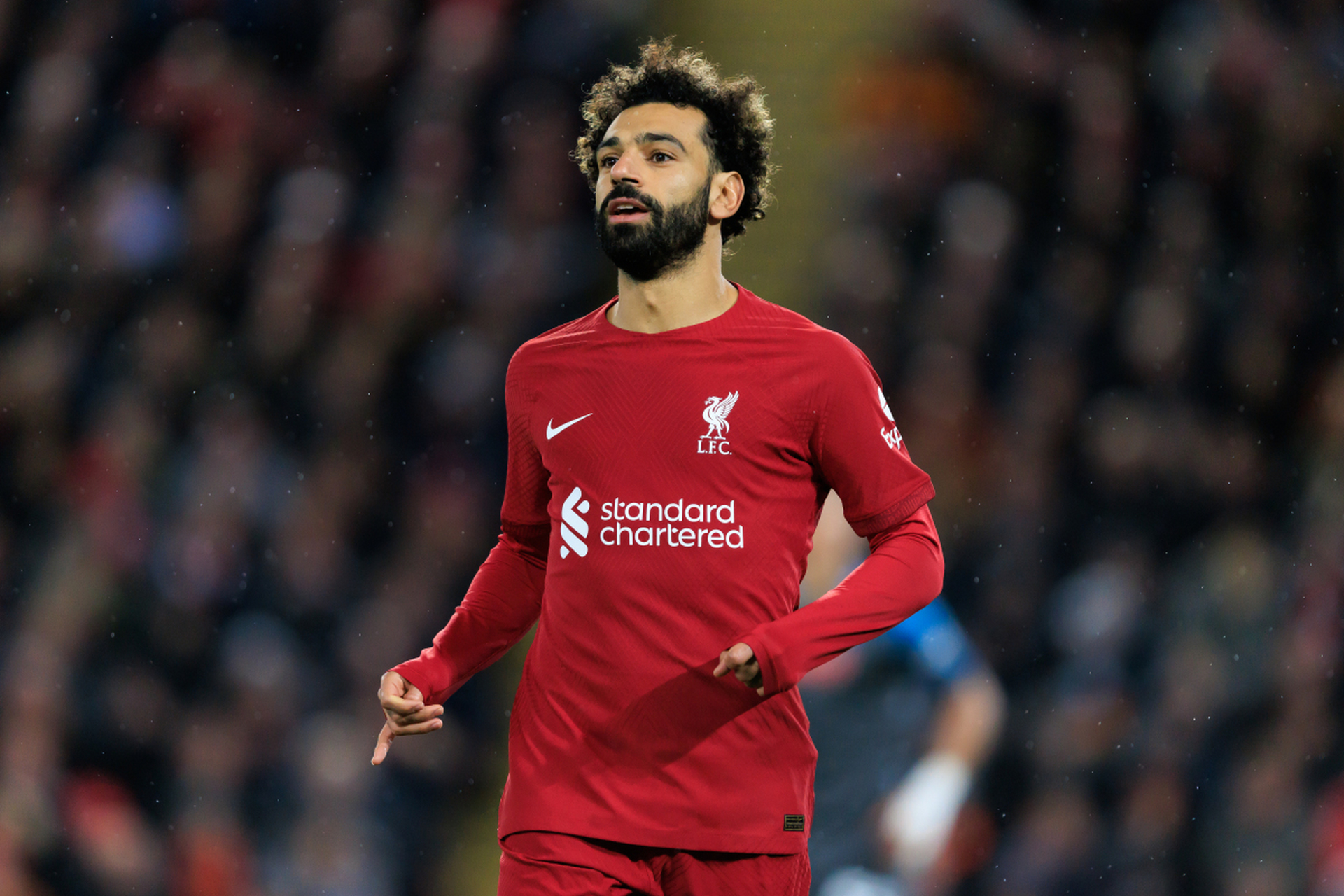 哥伦比亚翻盘荷兰，托雷斯三分雨点燃全场的简单介绍