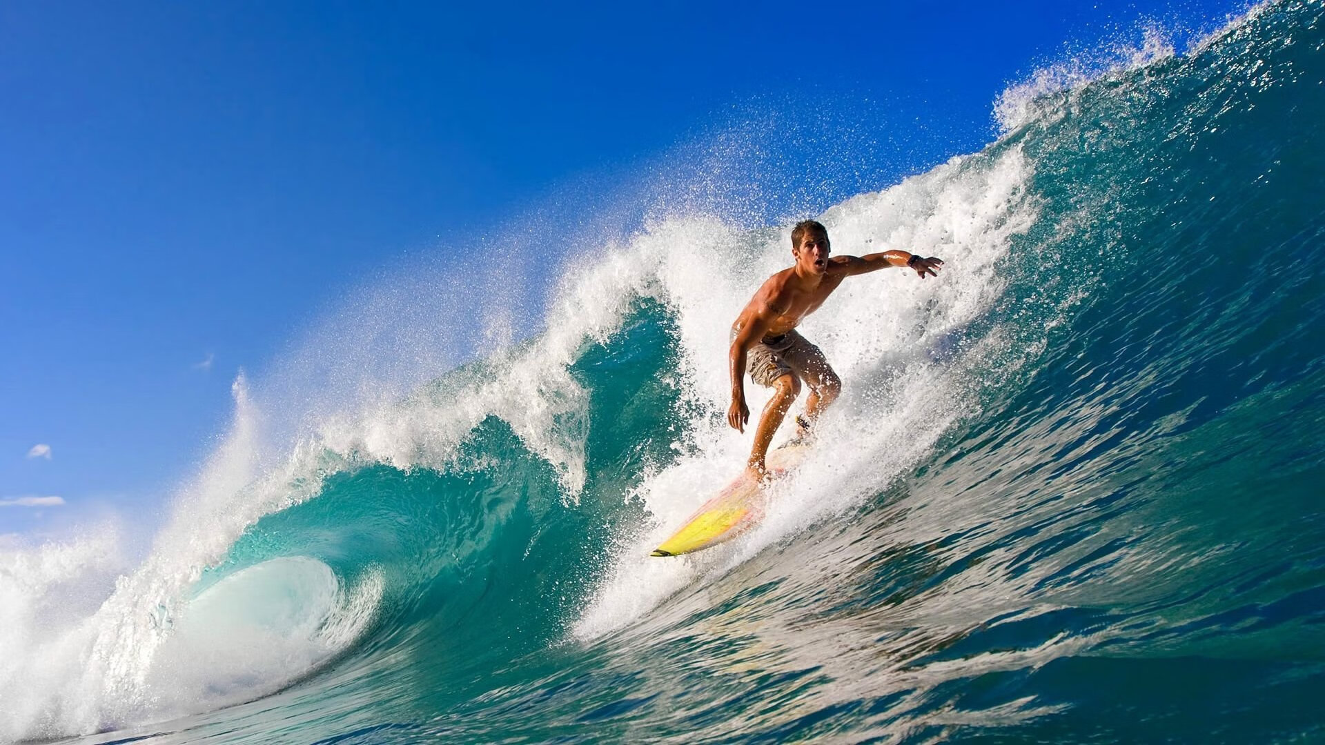 年度焦点之战之夜，福克斯赛后评分拉满，一场注定载入史册的传奇对决