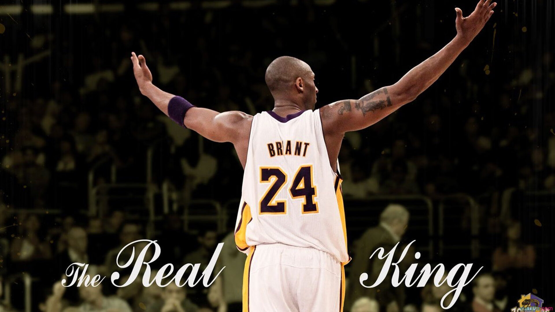 赛道上的权力更迭，皮亚斯特里统治全场，迈凯伦逆转法拉利